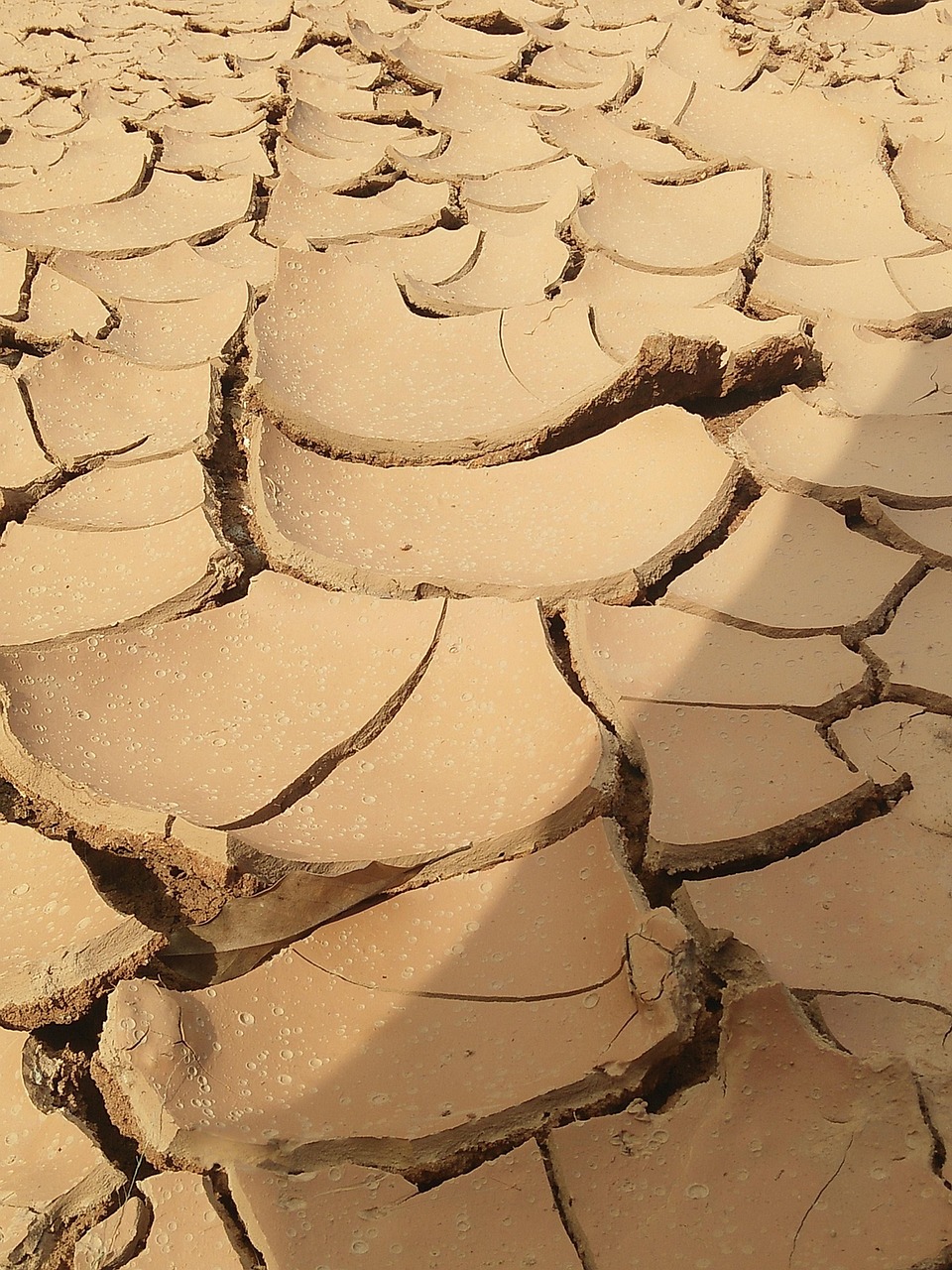 découvrez les causes, les conséquences et les méthodes de prévention de l'érosion des sols pour protéger l'environnement et améliorer la qualité des terres agricoles.