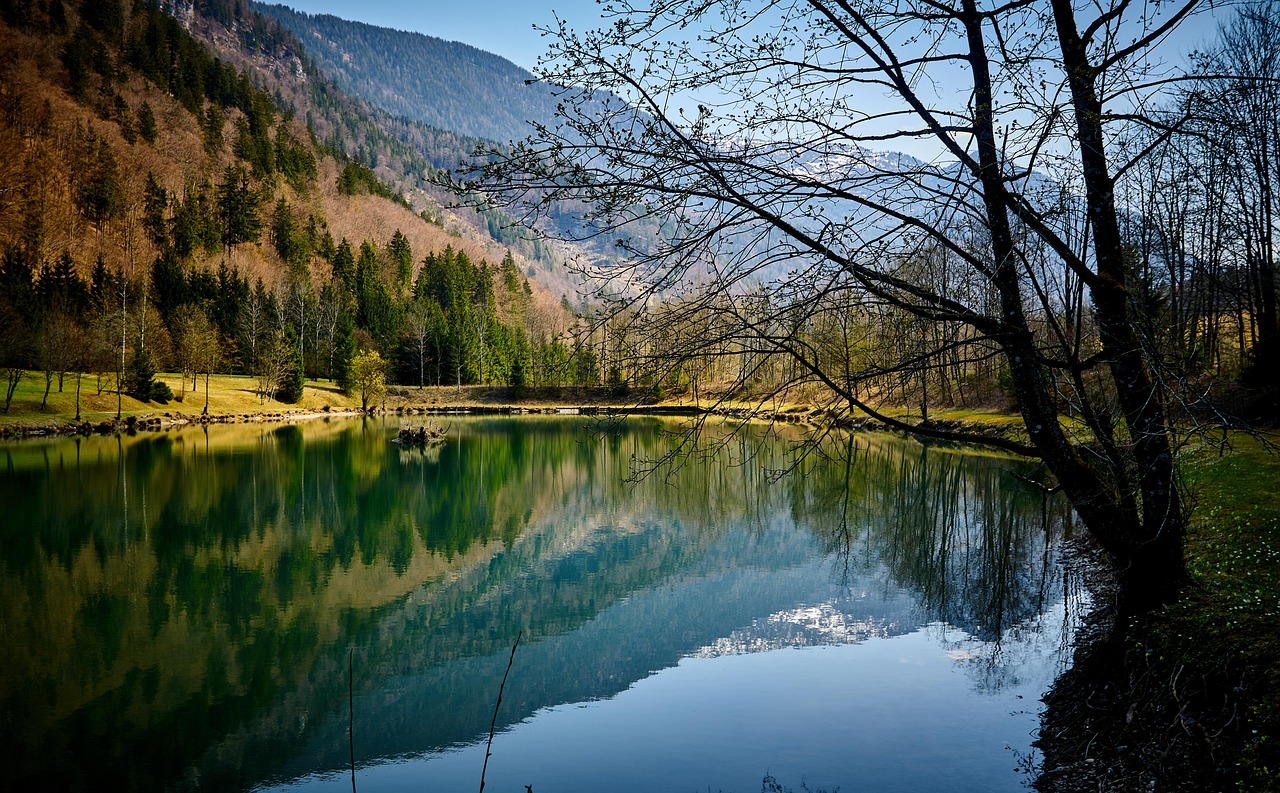 découvrez l'importance de l'expansion des zones protégées pour préserver la biodiversité et lutter contre le changement climatique.
