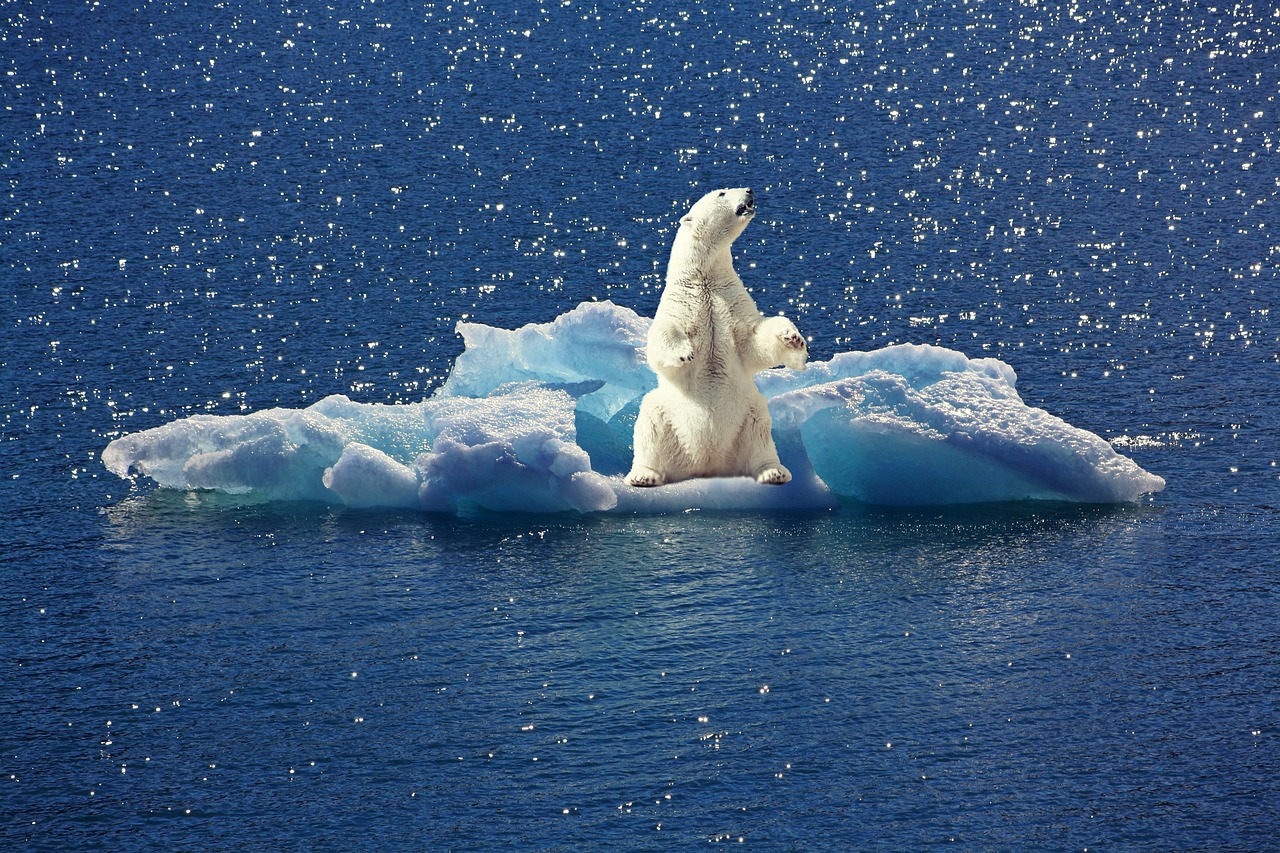 découvrez les enjeux du changement climatique : impacts, causes et solutions pour préserver notre planète. informez-vous sur les actions incontournables à mener face à cette urgence environnementale.