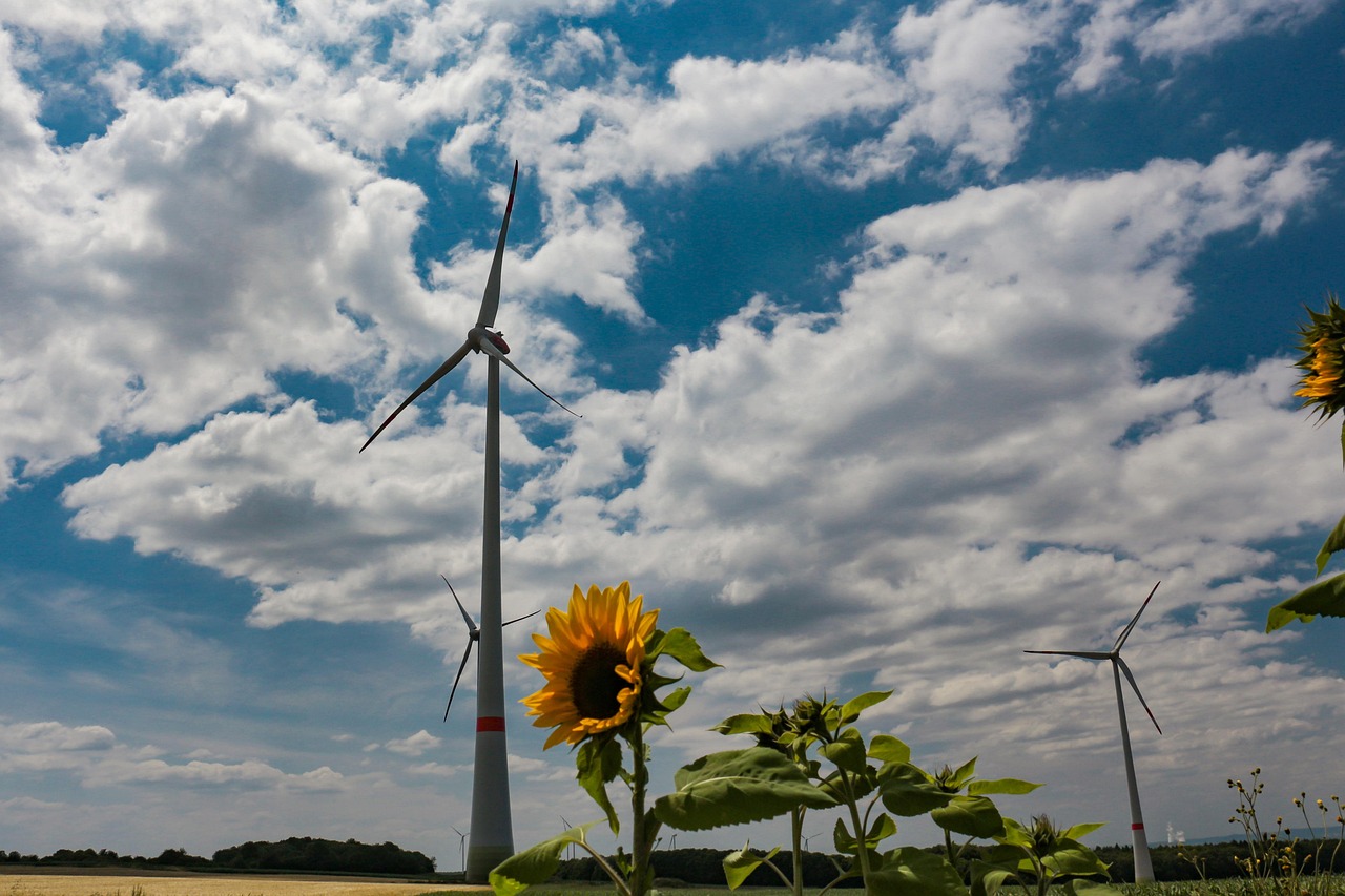 découvrez les enjeux et solutions de la transition vers les énergies renouvelables pour un avenir durable et respectueux de l'environnement.