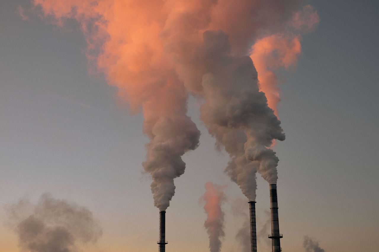 découvrez l'importance de l'environnement et comment préserver notre planète pour un avenir durable et sain.