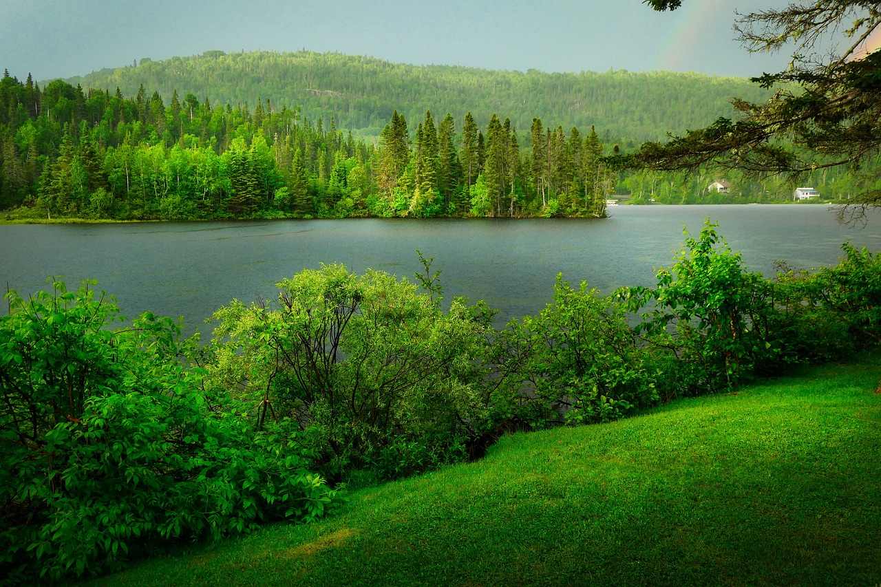 découvrez la richesse de la biodiversité : un écosystème varié et essentiel à notre survie. apprenez comment protéger les espèces et les habitats pour un avenir durable.