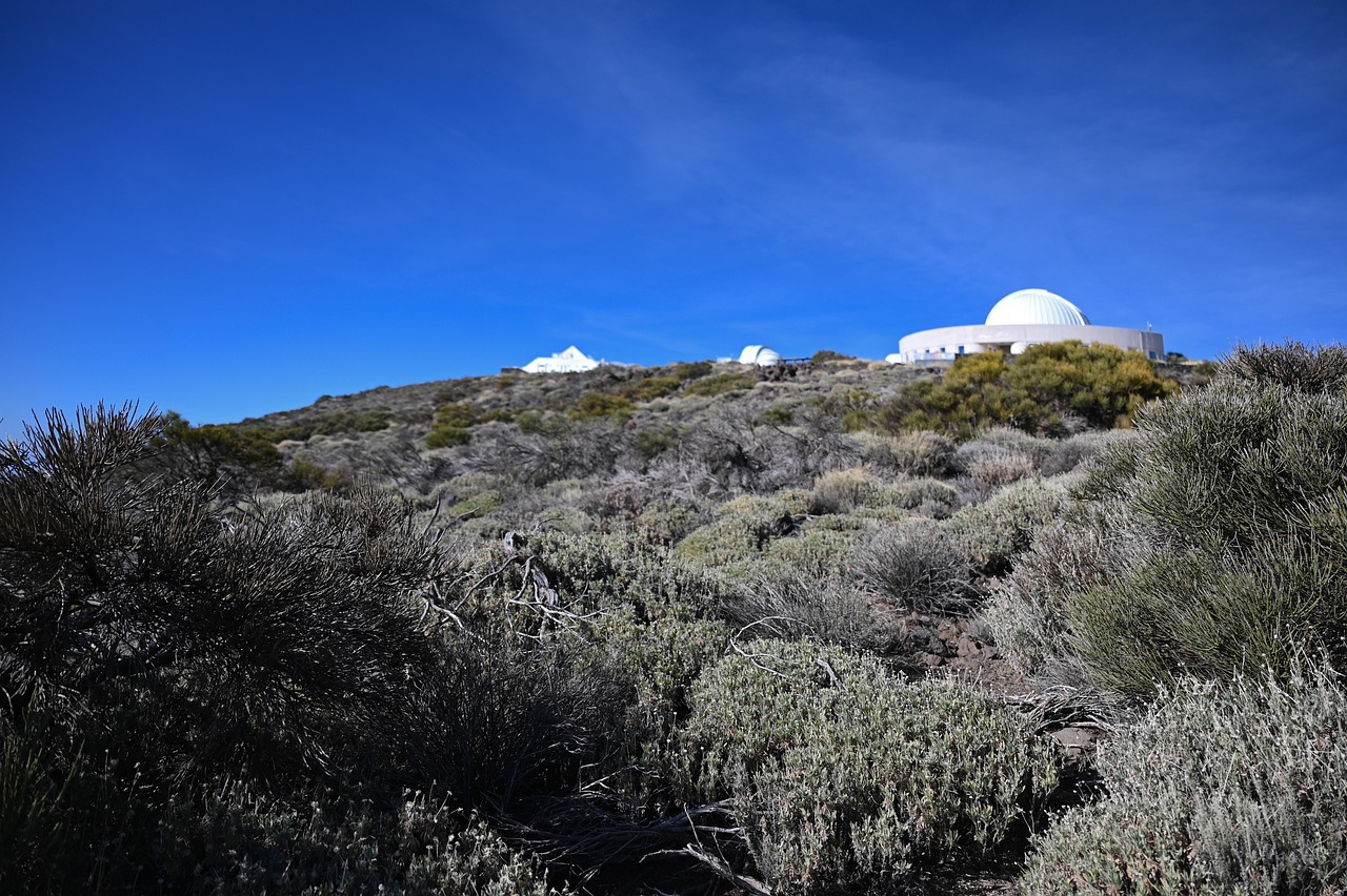observatoire énergie-climat : analyses et données pour comprendre les enjeux énergétiques et climatiques mondiaux.