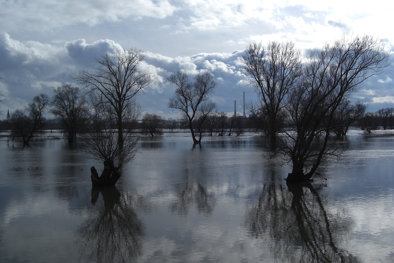 informations essentielles sur les inondations : causes, conséquences, prévention et conseils de sécurité pour se protéger lors de crues et débordements d'eau.