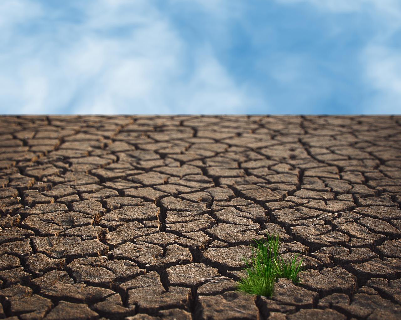 découvrez les enjeux et les impacts du changement climatique sur notre planète. informez-vous sur les causes, les conséquences et les actions à entreprendre pour lutter contre ce phénomène global et préserver notre environnement pour les générations futures.