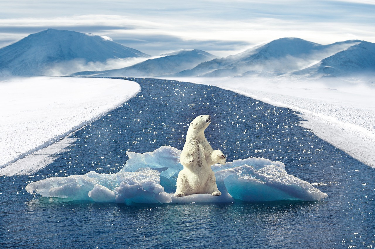 découvrez tout sur le climat : tendances, changements, impacts environnementaux et solutions pour un avenir durable.