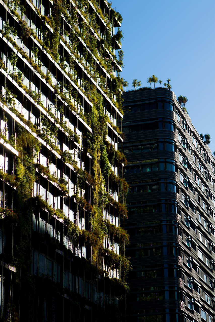 découvrez comment préserver l'environnement grâce à des pratiques durables, des conseils écoresponsables et des solutions innovantes pour un avenir plus vert et sain.