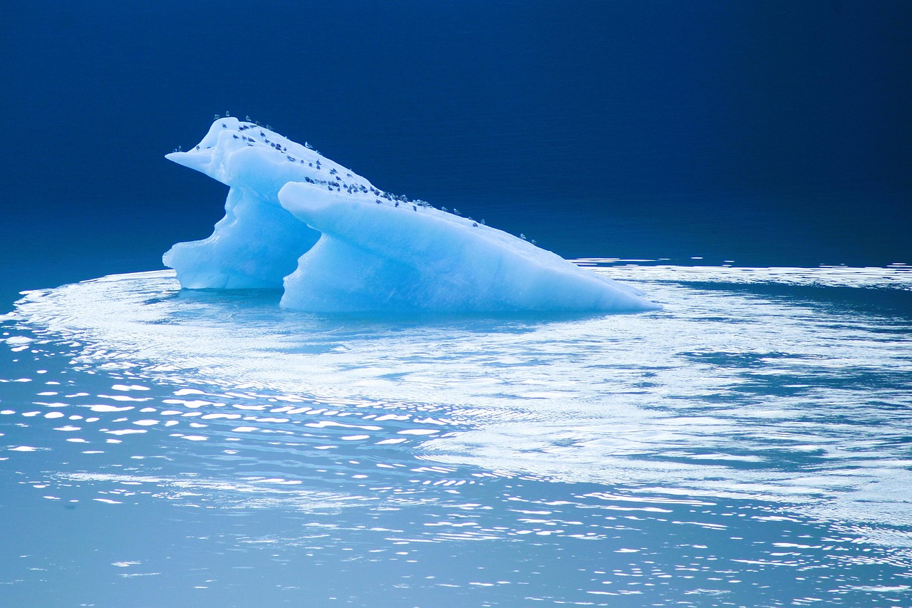 découvrez l'antarctique, le continent glacé du bout du monde : paysages spectaculaires, faune unique, expéditions scientifiques et enjeux environnementaux majeurs. informations et curiosités sur la dernière terre sauvage de la planète.