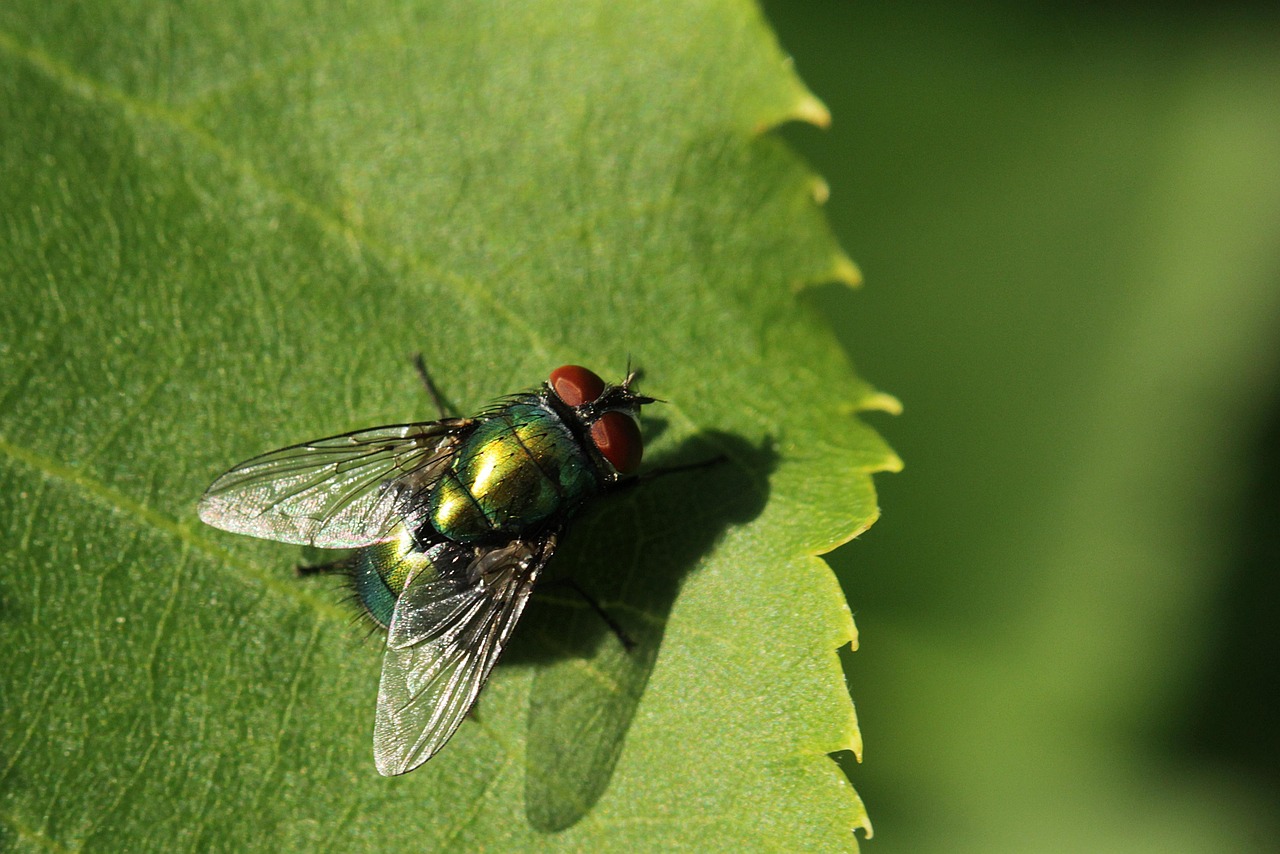 découvrez des stratégies innovantes et des solutions pratiques pour s'adapter au changement climatique. apprenez comment les communautés, les entreprises et les gouvernements peuvent renforcer leur résilience face aux impacts environnementaux inévitables.