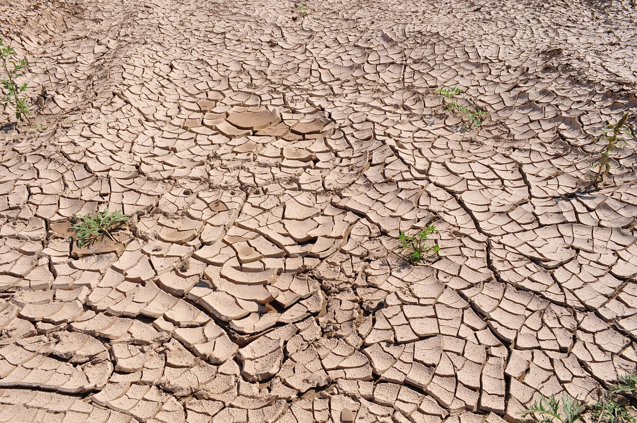 découvrez les causes et les conséquences du réchauffement climatique, un défi majeur pour notre planète. apprenez comment nos actions influencent l'environnement et explorez des solutions pour un avenir durable.