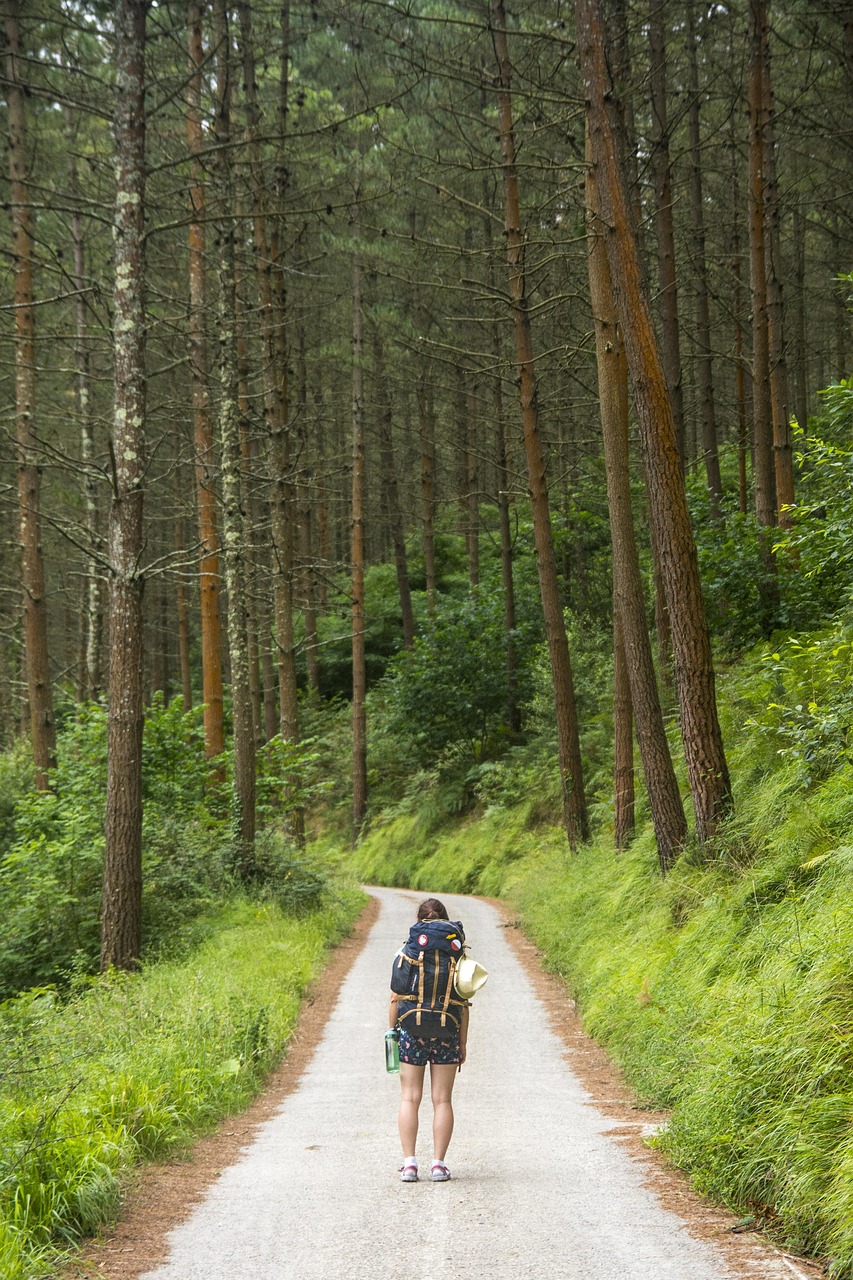 découvrez des promenades immersives uniques qui vous plongent au cœur de paysages captivants et d'aventures sensorielle inoubliables.