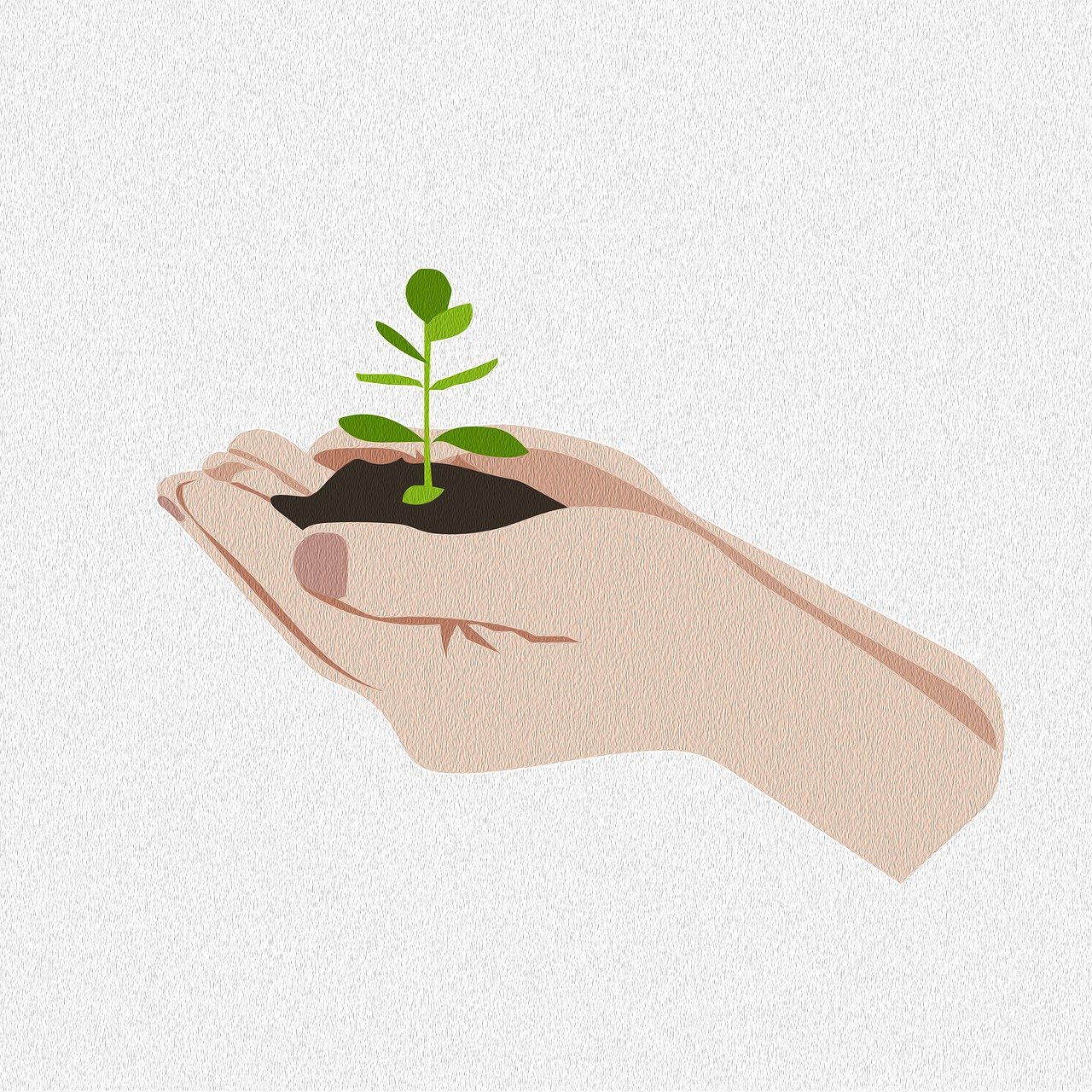 découvrez notre sélection de graines de qualité pour vos plantations. que vous soyez jardinier amateur ou professionnel, trouvez les graines parfaites pour vos cultures et faites pousser un jardin florissant.