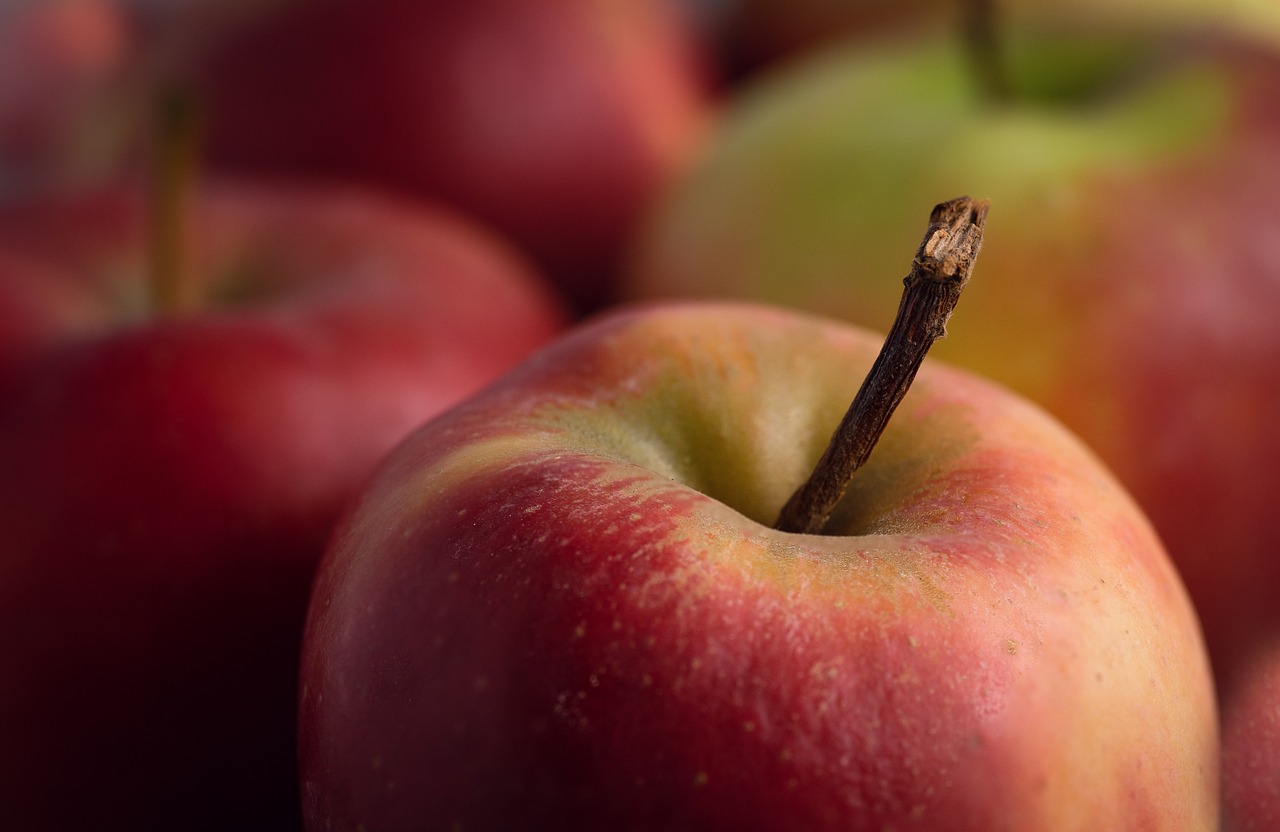 découvrez des conseils pratiques et des informations essentielles pour améliorer votre santé physique et mentale. explorez des sujets variés tels que la nutrition, l'exercice et le bien-être global.