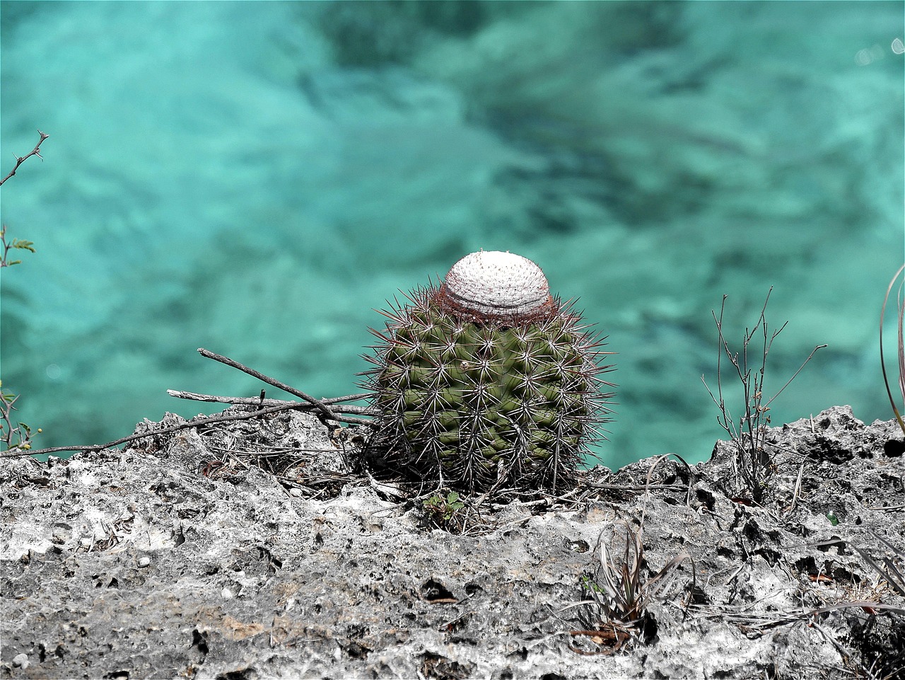 découvrez les habitants de bonaire, leur culture unique, leur mode de vie et leur héritage dans cette île des caraïbes.