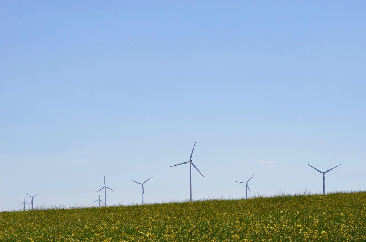 découvrez les enjeux et les solutions de la transition écologique pour un avenir durable et respectueux de l'environnement.