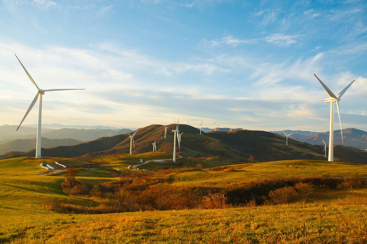 découvrez comment l'éducation durable favorise l'apprentissage responsable, sensibilise aux enjeux environnementaux et prépare les générations futures à préserver la planète tout en développant des compétences essentielles.