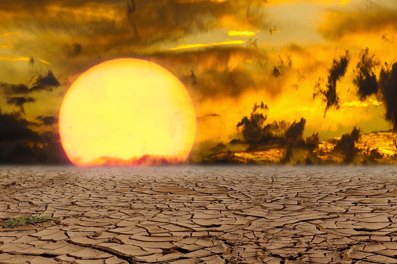 découvrez les impacts de la canicule en europe, ses conséquences sur la santé, l'environnement et les mesures prises pour y faire face.