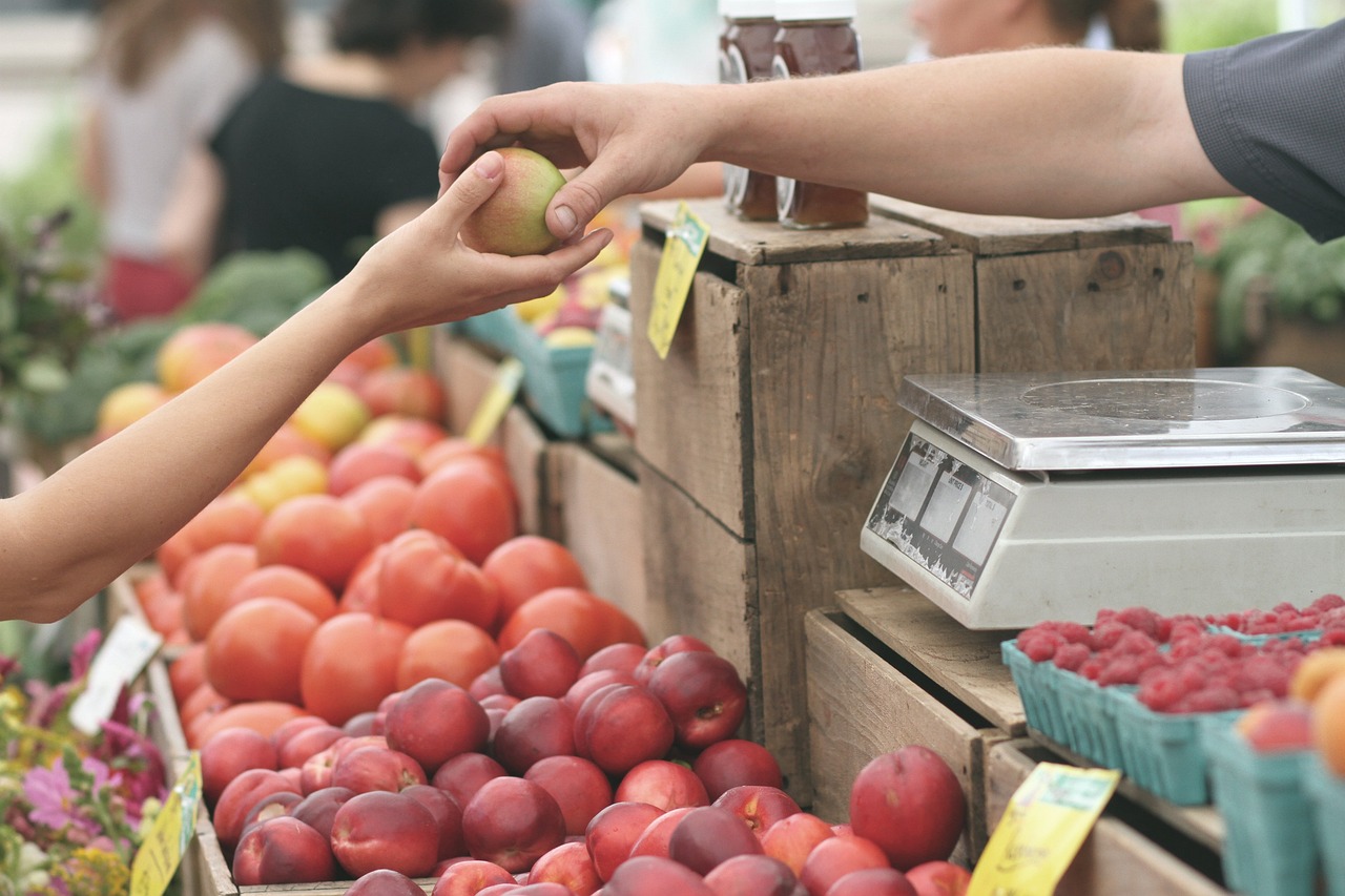 découvrez comment les projets écologiques locaux transforment nos communautés en favorisant la durabilité, la biodiversité et l'engagement citoyen. impliquez-vous dans des initiatives qui préservent notre environnement et améliorent la qualité de vie.