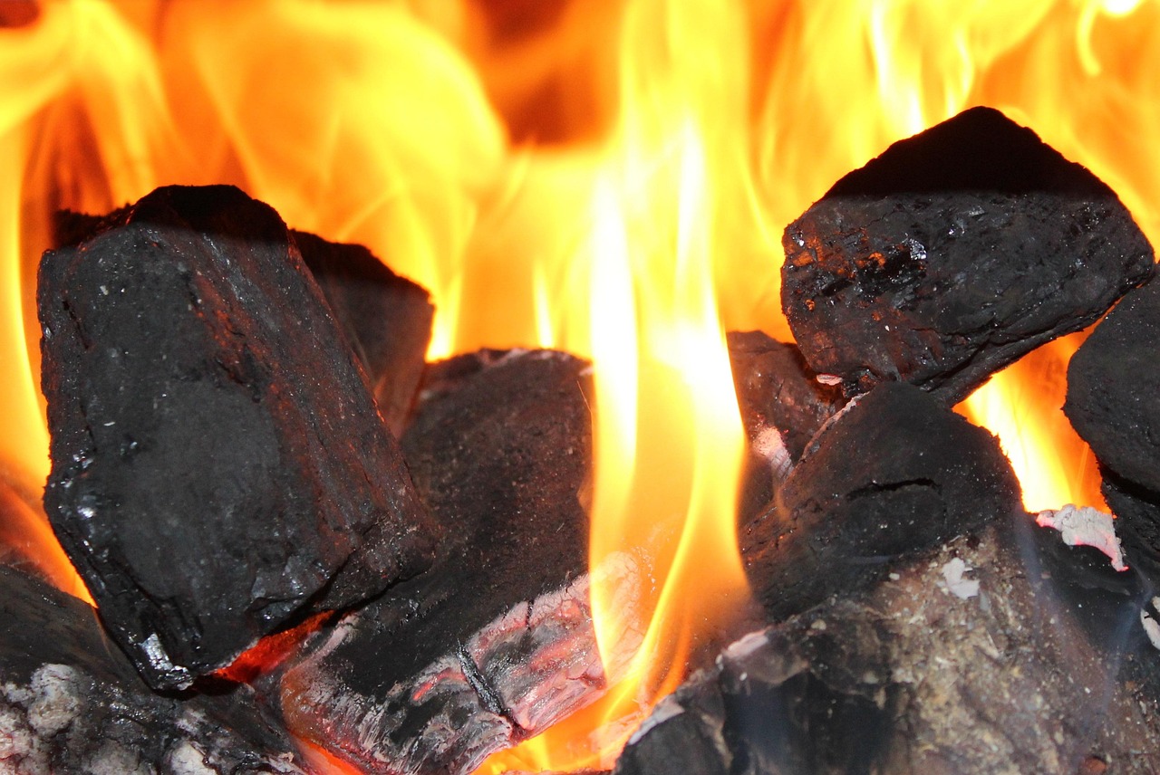découvrez tout sur le charbon : son utilisation, son impact environnemental et son rôle dans la production d'énergie.