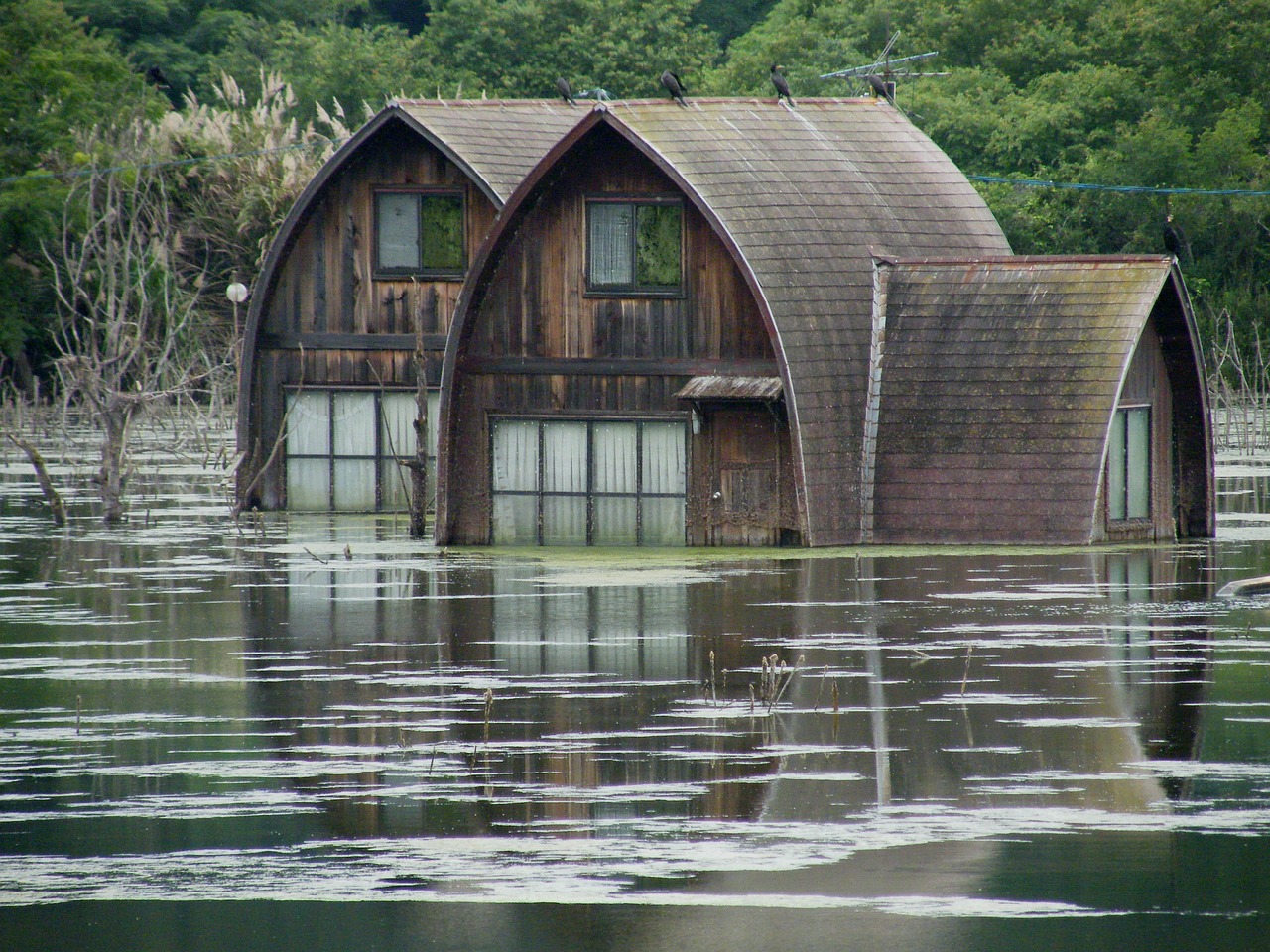 information complète sur les inondations : causes, prévention, impacts et mesures de sécurité pour protéger votre famille et vos biens.