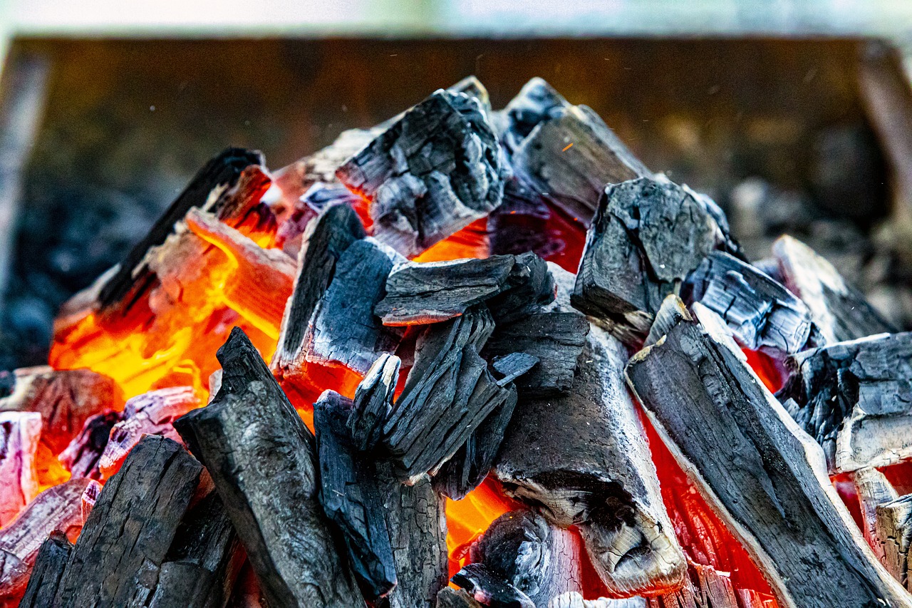 découvrez tout sur le charbon : utilisation, extraction, impact environnemental et rôle dans l'industrie énergétique mondiale.