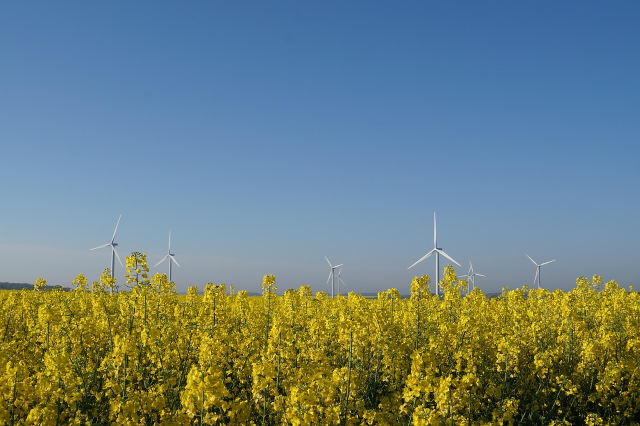 découvrez tout ce qu'il faut savoir sur les biocarburants : sources, avantages, impacts environnementaux et leur rôle dans la transition énergétique.
