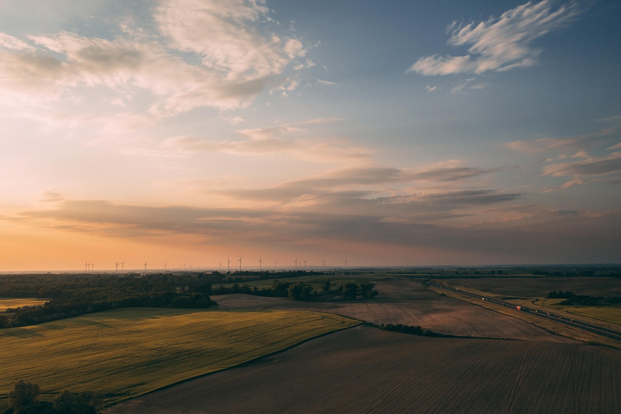 découvrez nos initiatives et solutions pour promouvoir la durabilité et protéger l'environnement.