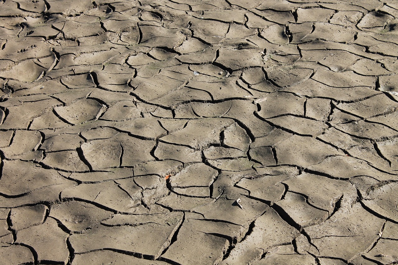 découvrez les causes, les conséquences et les solutions pour lutter contre l'érosion des sols, un enjeu crucial pour la préservation de l'environnement et la fertilité des terres.
