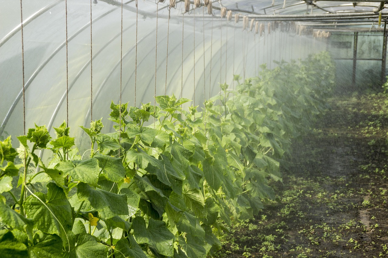 découvrez la permaculture urbaine : techniques de jardinage durables et écologiques adaptées aux espaces en ville pour cultiver vos propres fruits et légumes.