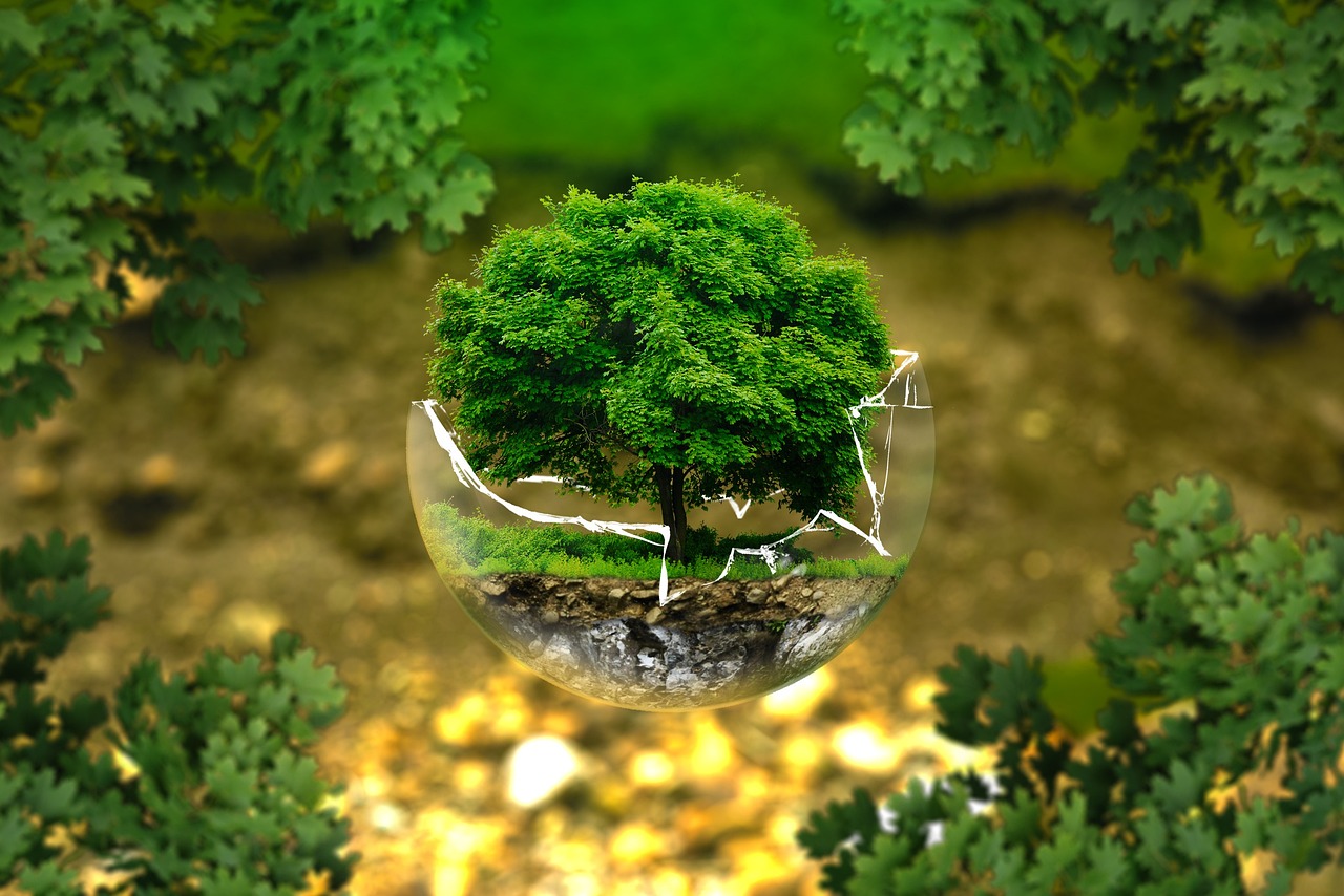 découvrez les responsabilités environnementales et les obligations légales associées pour prévenir et gérer les impacts écologiques.