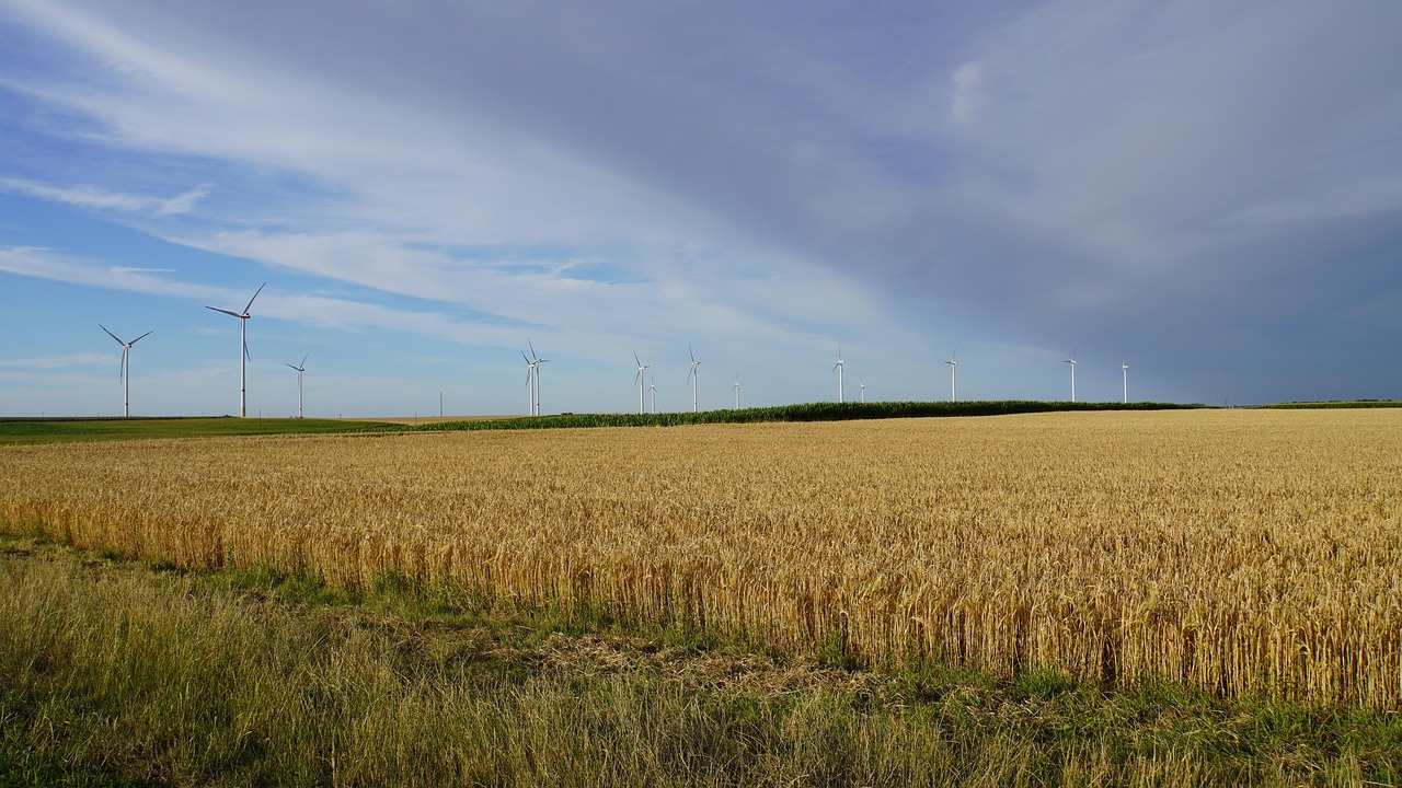 découvrez notre analyse détaillée sur la canicule précoce, ses causes, ses impacts et comment s'y préparer efficacement.