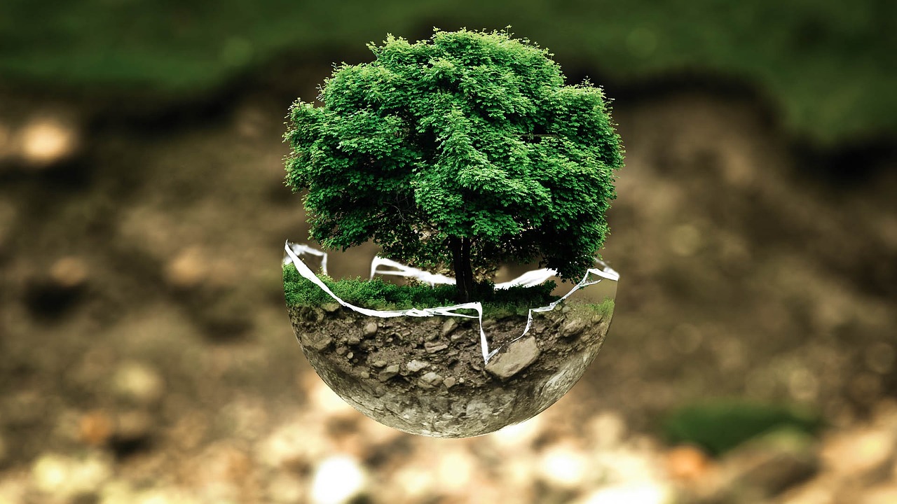 découvrez les initiatives environnementales qui transforment notre planète. explorez les actions durables, les projets innovants et les solutions écologiques mises en place pour protéger notre environnement et promouvoir un développement durable.