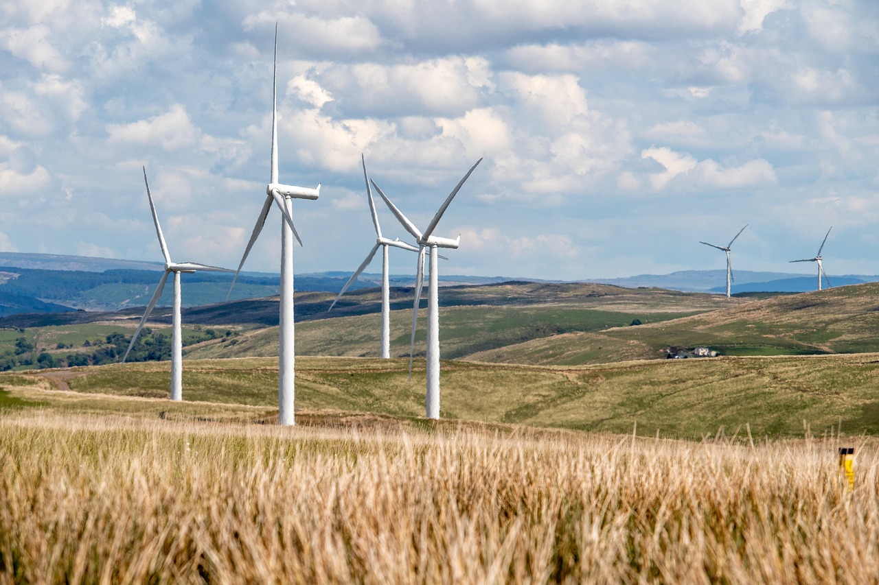 découvrez comment adopter un mode de vie durable grâce à des conseils pratiques, des astuces éco-responsables et des idées inspirantes pour réduire votre empreinte écologique tout en vivant en harmonie avec la planète.