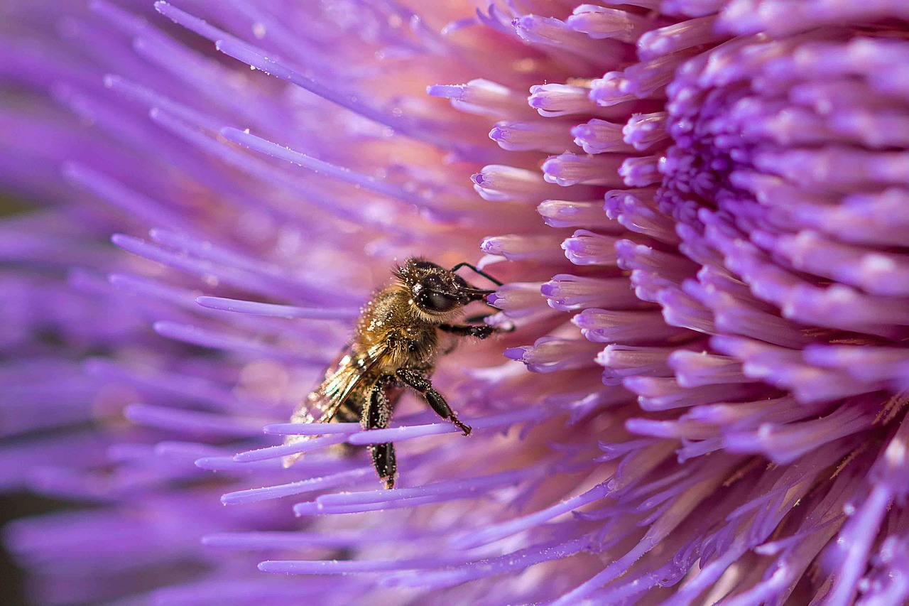 découvrez le bee wrap, une alternative écologique au film alimentaire. réutilisable et naturel, il permet de conserver vos aliments tout en protégeant la planète.