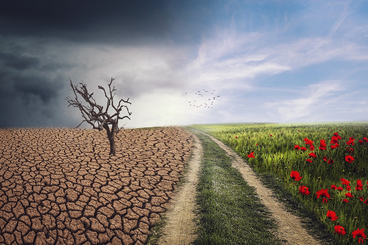 découvrez les défis climatiques majeurs auxquels notre planète est confrontée, les conséquences sur l'environnement et les solutions innovantes pour un avenir durable.