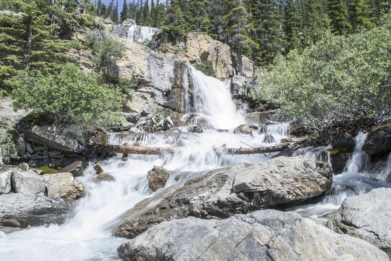 découvrez les défis environnementaux et climatiques actuels, leurs impacts sur notre planète, et les solutions pour un avenir durable.