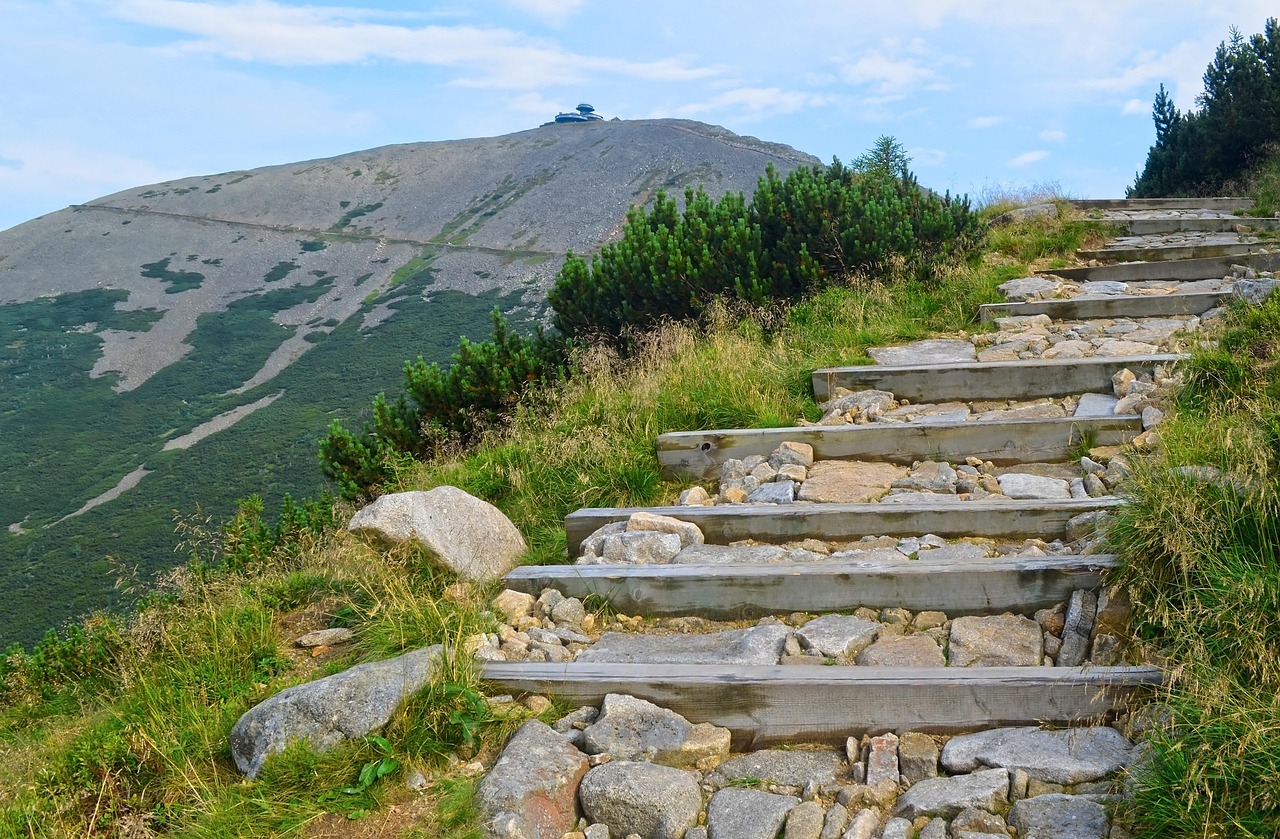 découvrez les meilleurs sentiers de randonnée pour tous les niveaux, explorez la nature et profitez d'aventures en plein air inoubliables.
