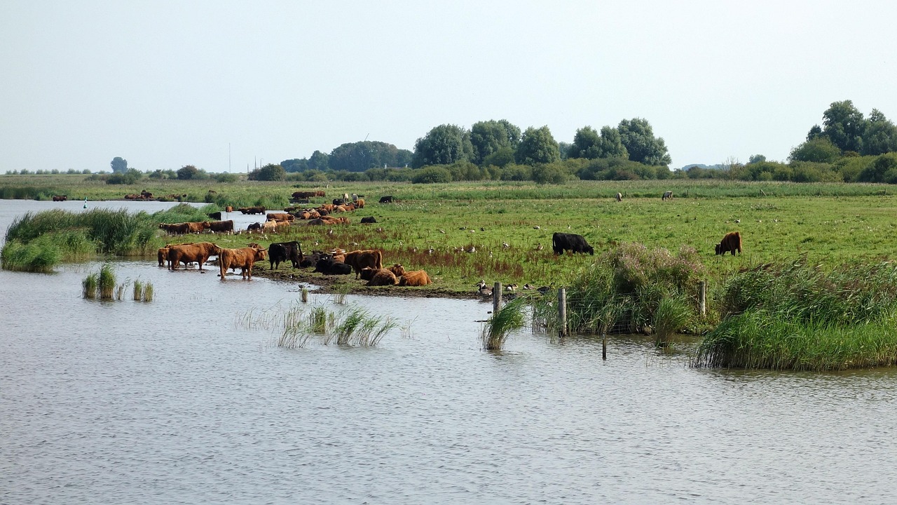 découvrez l'importance de l'expansion des zones protégées pour préserver la biodiversité et lutter contre le changement climatique.