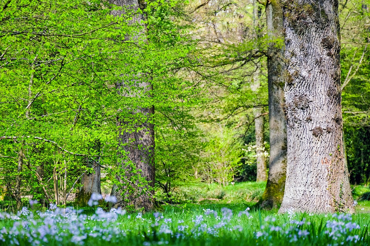 découvrez l'écologie urbaine, une discipline passionnante qui explore les interactions entre les humains et leur environnement dans les villes. apprenez comment les espaces urbains peuvent favoriser la biodiversité, améliorer la qualité de vie et contribuer à la durabilité. plongez dans des stratégies innovantes pour transformer nos cités en écosystèmes résilients.