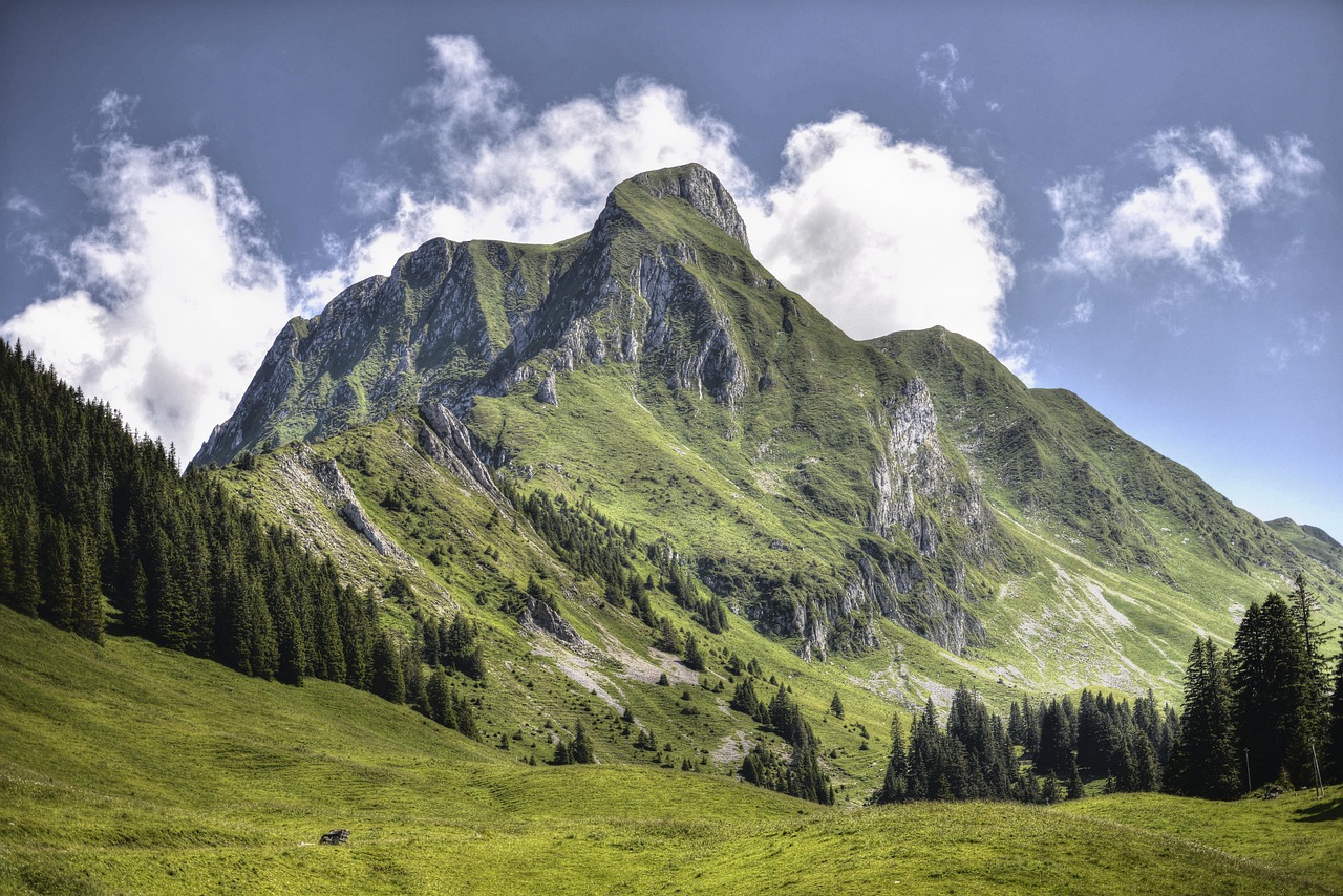 découvrez comment atteindre les objectifs climatiques en adoptant des solutions durables, en réduisant les émissions de carbone et en participant à la lutte contre le changement climatique pour un avenir plus vert.