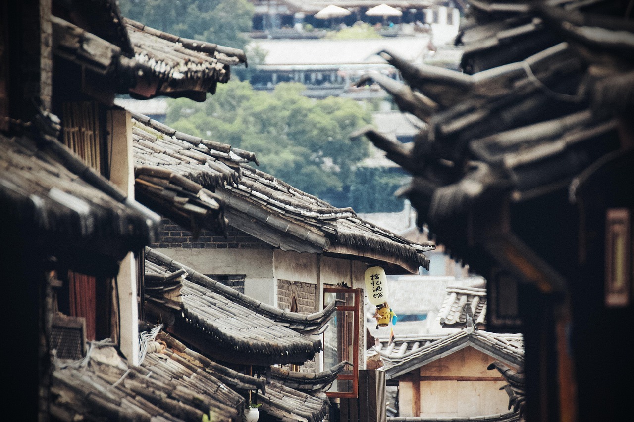 découvrez le rôle de la chine en tant que leader mondial dans la lutte contre le changement climatique et ses initiatives pour un avenir durable.
