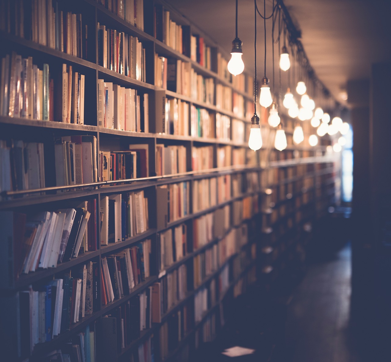 découvrez l’éducation holistique : une approche globale qui vise à développer l’intelligence émotionnelle, sociale et intellectuelle des élèves, pour un apprentissage épanouissant et complet.