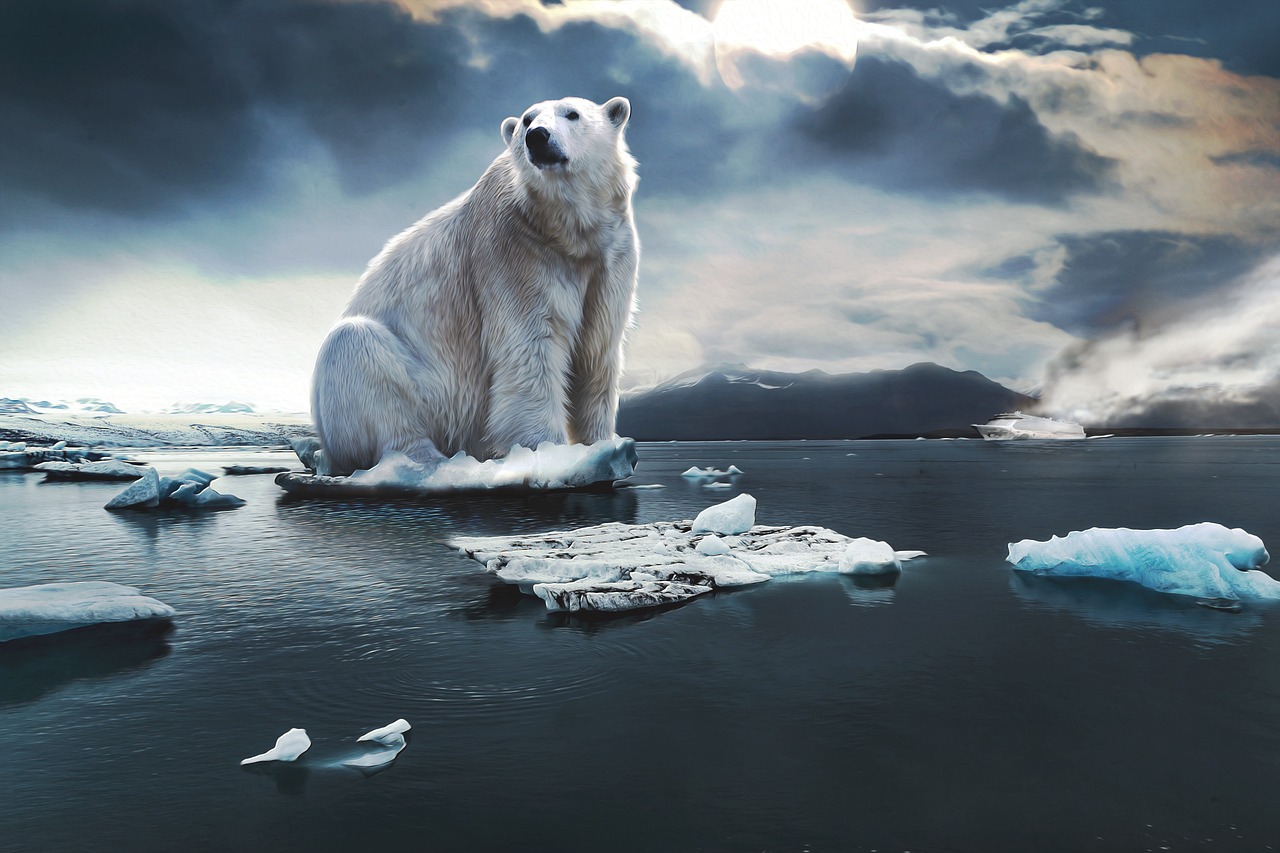 découvrez les enjeux du climat, les impacts du changement climatique et les solutions pour préserver notre planète.