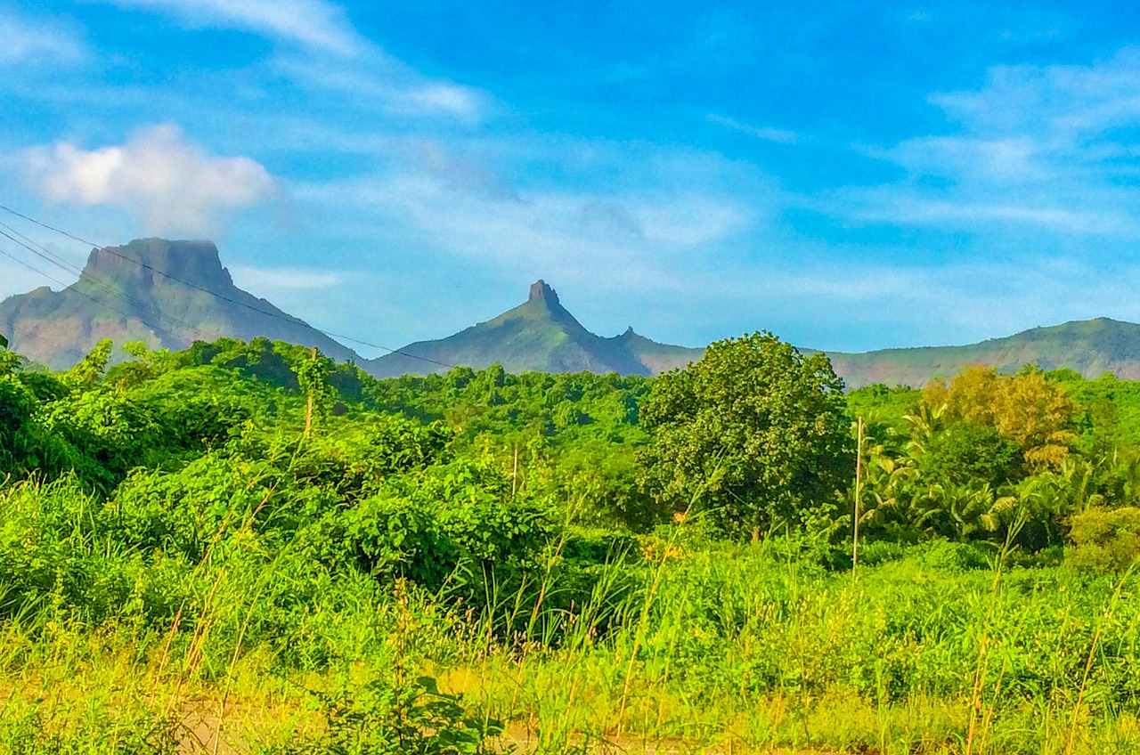 découvrez les objectifs climatiques de l'inde et ses engagements pour un avenir plus durable face au changement climatique.