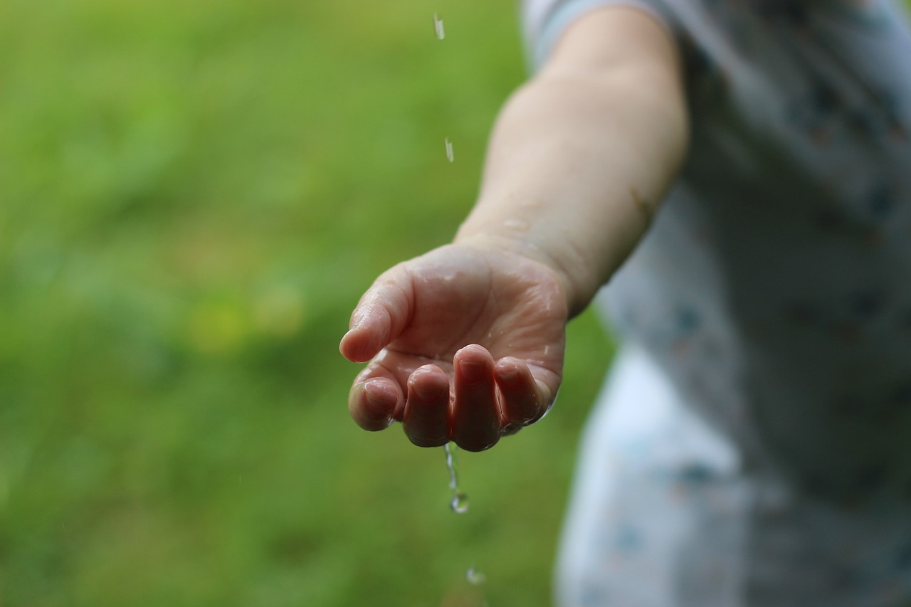 découvrez des solutions durables pour un avenir respectueux de l'environnement. apprenez comment adopter un mode de vie éco-responsable et contribuez à la préservation de notre planète.