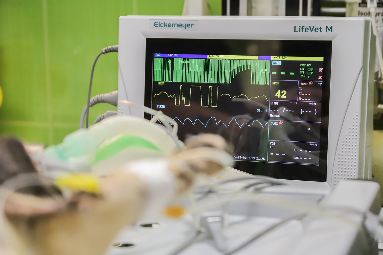 technologie de traitement des déchets organiques : solutions innovantes pour la gestion durable des biodéchets et la valorisation énergétique.