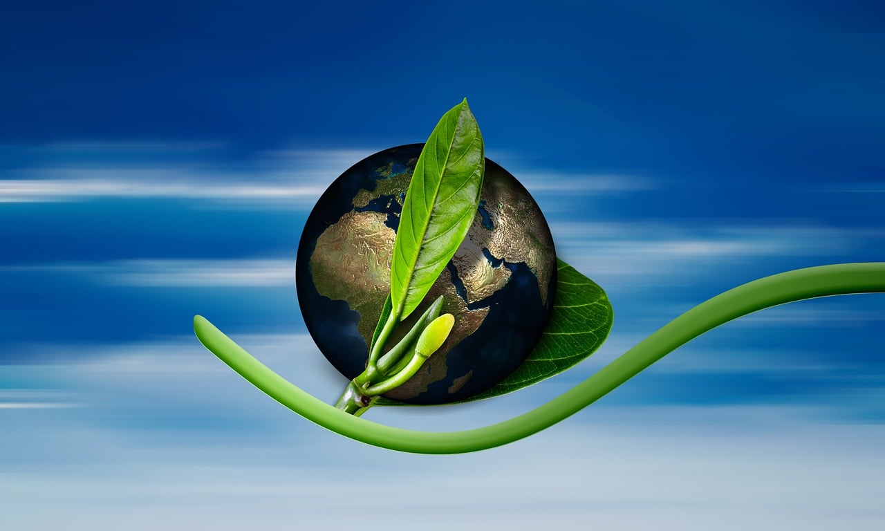 découvrez les enjeux du changement climatique, ses impacts sur notre planète et les solutions pour un avenir durable. informez-vous sur les actions à entreprendre pour lutter contre cette crise mondiale.