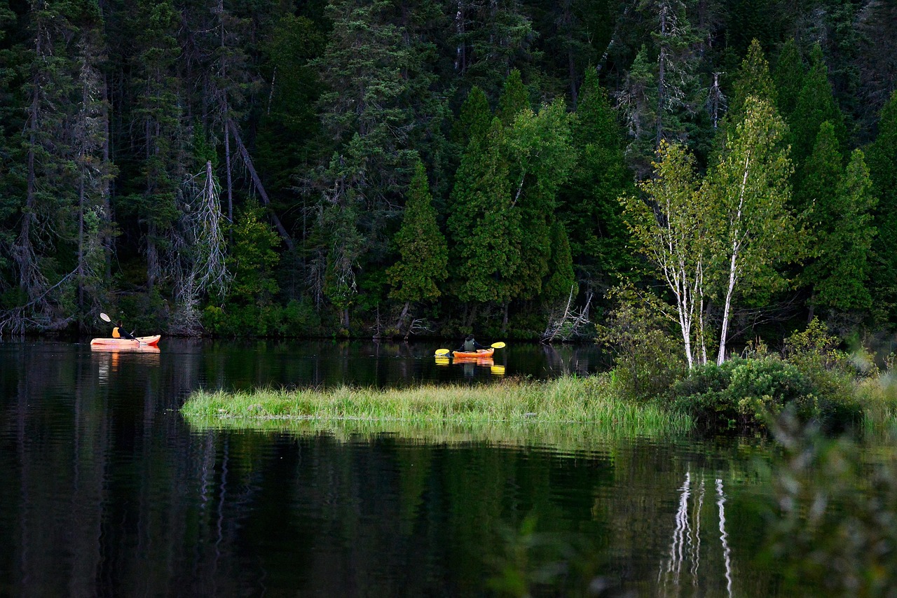 analyse des impacts du retrait des états-unis sur le climat et la biodiversité, explorant les conséquences environnementales et les enjeux globaux liés à cette décision.