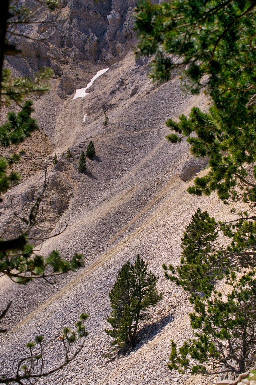 découvrez les stratégies d'adaptation climatique mises en œuvre au mont ventoux pour préserver son écosystème face aux changements climatiques.