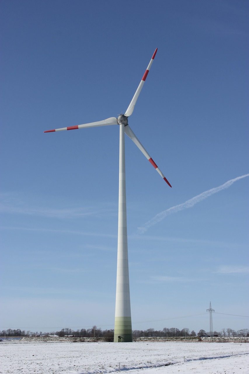 découvrez les principes de la durabilité et comment adopter des pratiques éco-responsables pour préserver l’environnement, économiser les ressources et construire un avenir plus vert.
